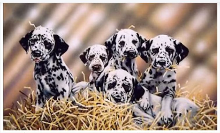 Doyle Paul (England)